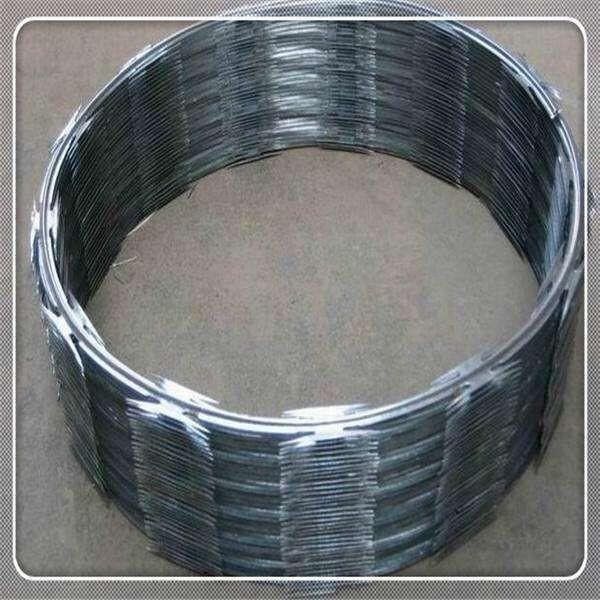 Single Coil Concertina Razor Wire Diameter 450mm Barbed Wire CBT-65