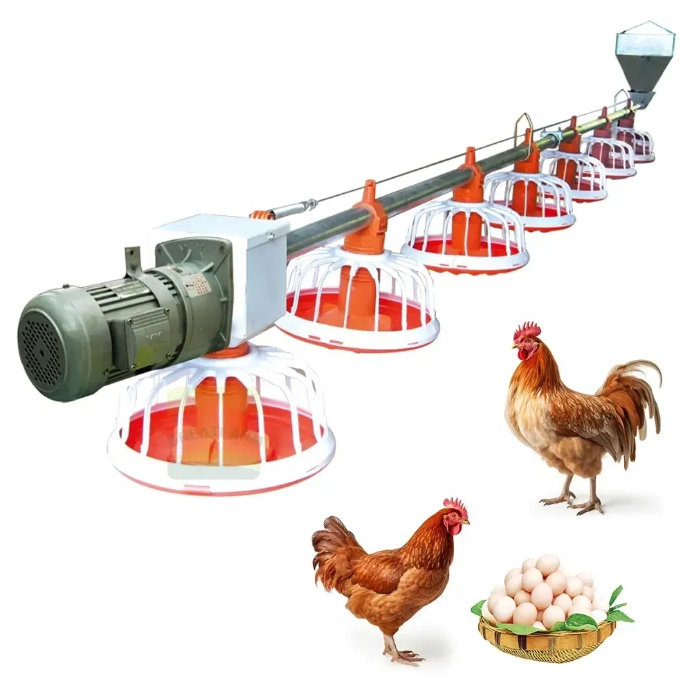 PP Material Automatic Poultry Feeding System Labor Saving For Chicken Care