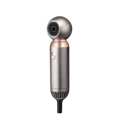 secadores de cabelo portáteis iônicos Mini For Commercial Household bonito do curso 1200W
