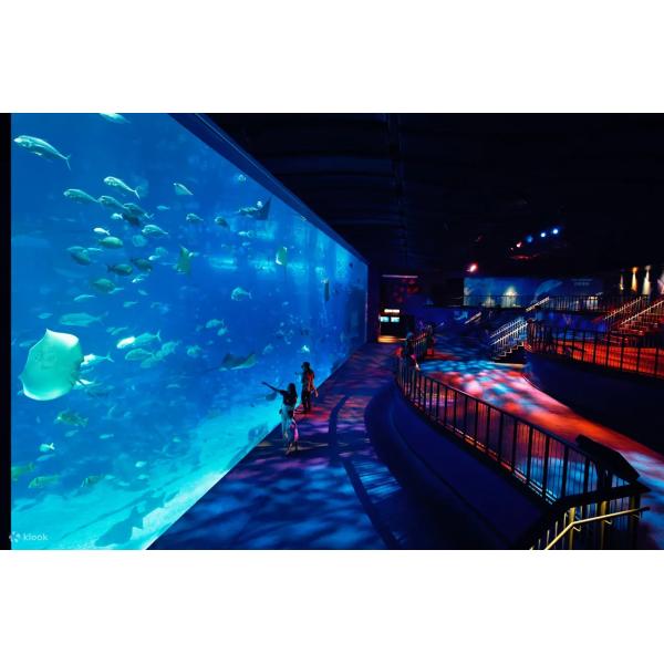 Diversas formas Fibra de vidrio sobre el suelo Piscina acrílica con procesamiento de moldeo