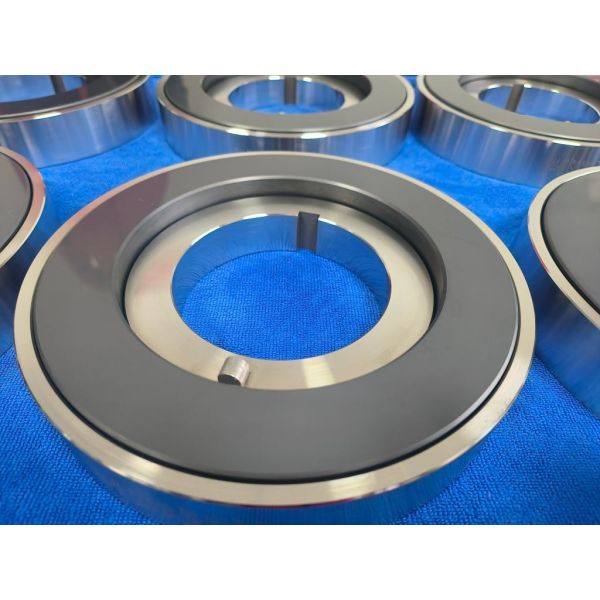 SiC Thrust Washer for Canned Motor Pumps