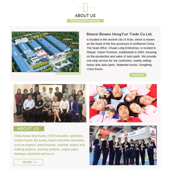 Customized Air Suspension Truck Seat for Heavy Duty Schaman SINOTRUCK HOWO Year 2009-