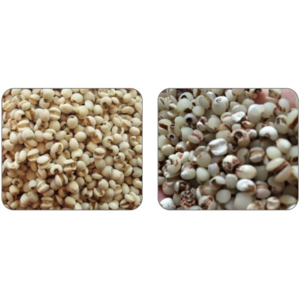 Машина сортировщицы цвета CCD 384 каналов, машина стерженя ячменя 5400 пикселов сортируя