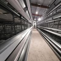 Gaiola das aves domésticas da galinha de grelha do quadro de 4 assoalhos H com alimentador automático