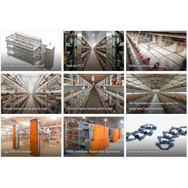 Система клеток для бройлеров птицеводческих хозяйств с чертежным дизайном MTS и стальным классом