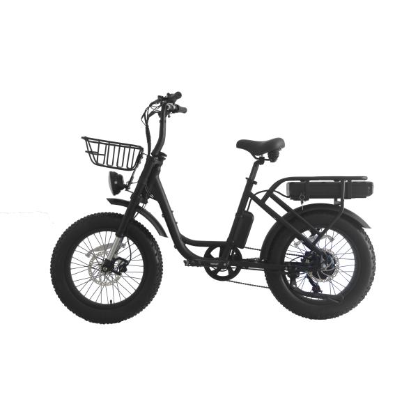 City Riding Made Fun with 48V Retro Electric Bike and Lithium E-Bike Battery Fat Tire