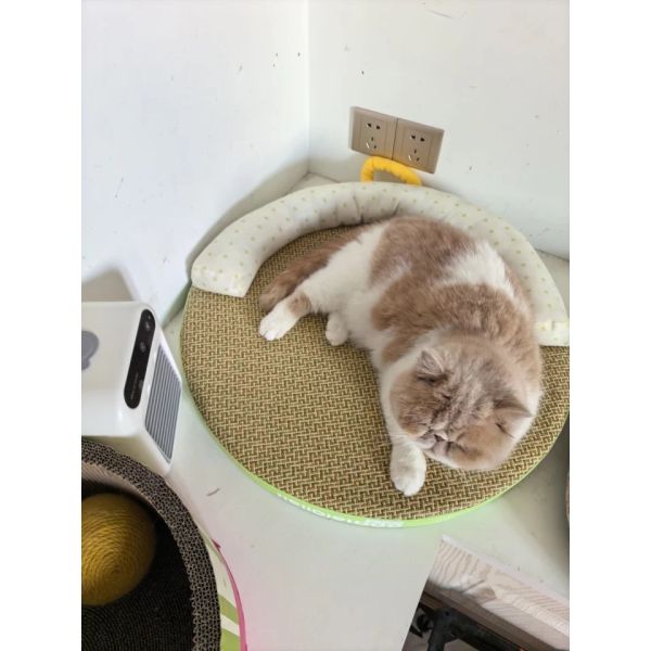 Portable Pet Spray Cooling Fan | Dog Cat Kennel Water Air Cooler