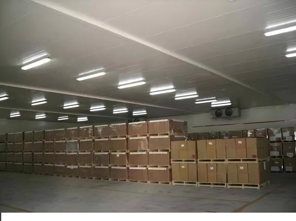 Automatic Defrosting Industrial Cold Room Equipment For Any Size Steel Plate Cold Storage