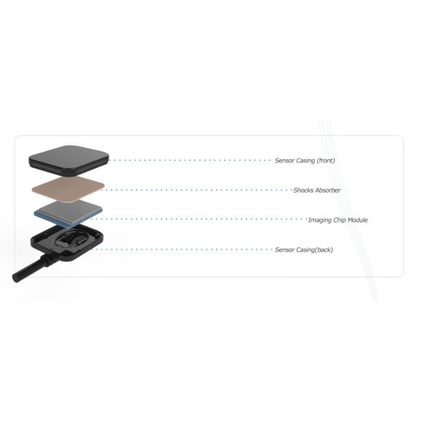 Factory price for the 21*21 rvg dental sensordental sensor digital dental x-ray FP12