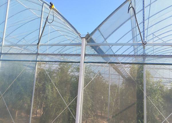 Rose Cherry Tomato Plastic Cover Greenhouse Single Span With Hydroponics System
