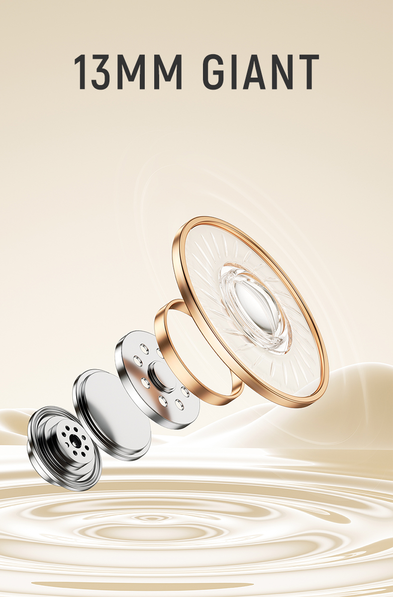 TWS Earbuds - TP2