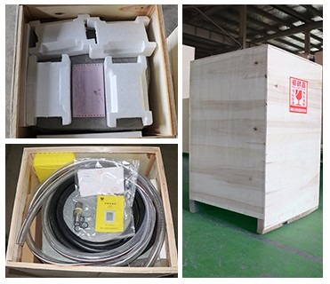 Dose No Pump Gasoline Fuel Dispenser BJJ-20-AH2 Low Pressure