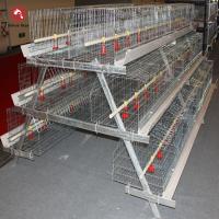 144 gaiolas da galinha da bateria do criador da grelha dos pássaros mergulham 3 séries um quadro