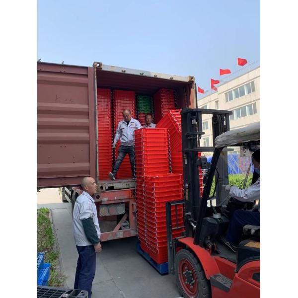 Складываемый экологически чистый пластиковый ящик, настраиваемый для сбора урожая и продажи продукции