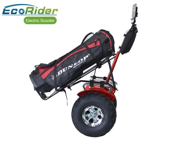 2 Wheel Balance Electric Scooter EcoRider Dropshop 21 Inch Tire Self Balancing App Control