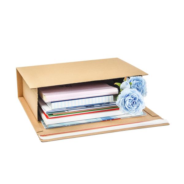 Hot-melt Adhesive Board Back Envelopes for Custom Colour Paper Delivery Packaging