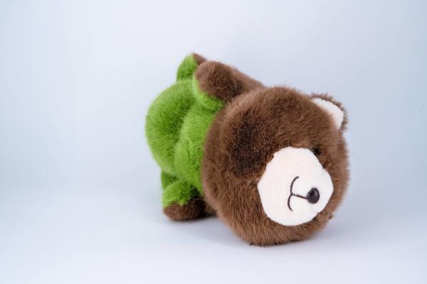 Original Reversible Bear And Dinosaur Plushie Multiple Sizes Two Sided Plush