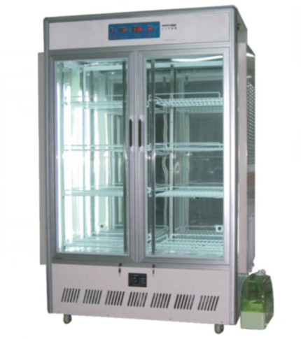 Nunca envejecimiento de la deformación, nunca incubadora artificial del clima del moho