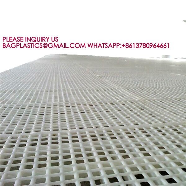 Plastic Poultry Floors 500*1200mm Chicken duck Floor poultry animal husbandry equipment