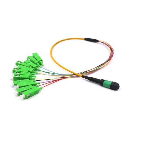 Elite MTP/MPO To SC/Apc OM5 LSZH Single Mode Patch Cord