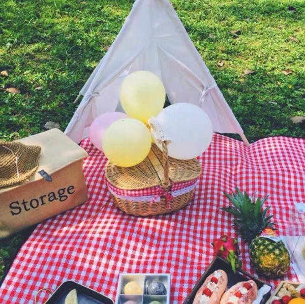 Handmade Natural Willow Wicker Picnic Basket Cheap Lunch Bags Hot sale products Outdoor Lunch Basket