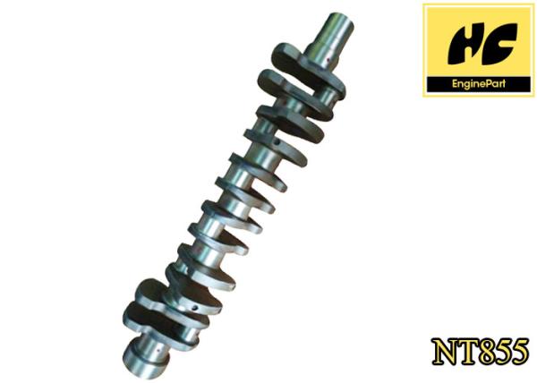 Anti Corrosive Cummins Spare Parts 4bt 6bt 6ct 6l Nt855 3917320/3918986/3917443 Automobile Crankshaft