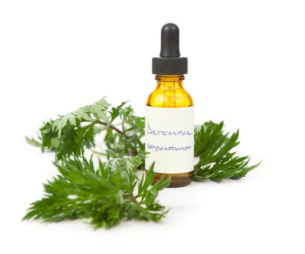 20 ml de frascos de vidro de cor âmbar de cana de difusão para refrescante de ar