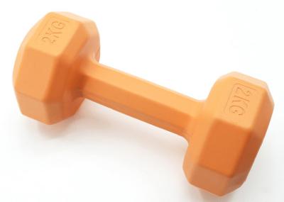 New Style Customizable Cement Dumbbells For Body Building Free Weights