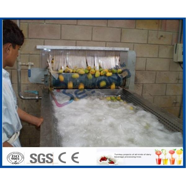 Pineapple Mango Processing Line , Fruit Juice Mango Pulp Processing Plant