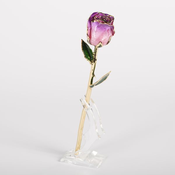 Gold Plated Rose Fresh Preserved Flower Gold Plated 24k Gold Plated Rose Eternal Roses Flower Mother's Day
