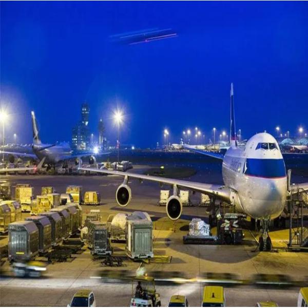 Груз дела Dropshipping одеяния B2b международный к Германии Франции Европе FCL