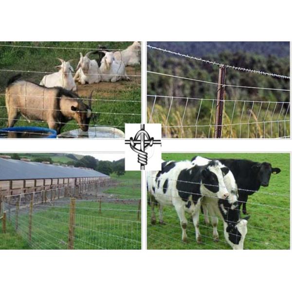 Farm Guard Cattle Wire Fence Zinc Coating With 0.8-2m Height , Rust Resistance