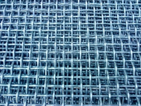 6 Mesh Electro Galvanized Square Wire Mesh Low Carbon Iron Netting
