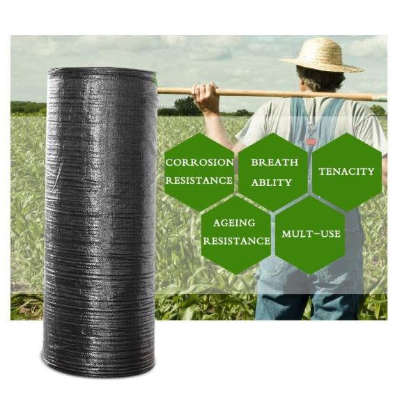 Сплетенная PP засорителя HDPE ткани ландшафта 4mm циновка пластикового анти- садовничая