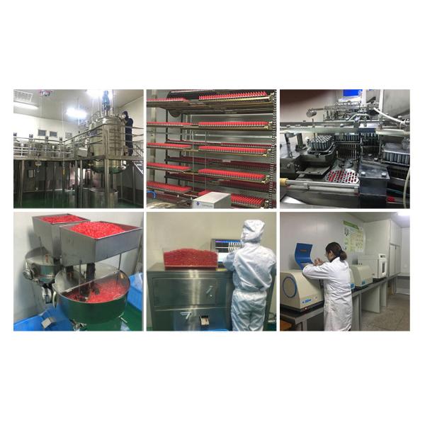 GMP Gelatin Empty Vegetarian Capsules Pharmaceutical Grade