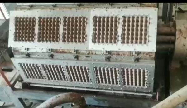 High Speed Fully Automatic Egg Tray Machine With Aluminum Molds For Farm Chickens