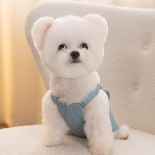 Custom Design Antibacterial Fabric Dog Clothes Anti Allergy Waterproof Eco Friendly