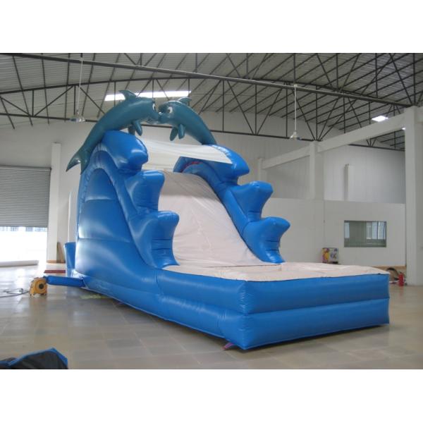Inflatable Water Slide / inflatable giant wet slide/ inflatable dolphin slide