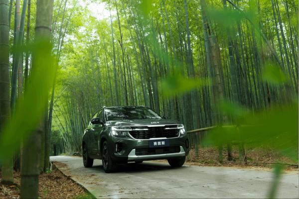 2023 2024 KIA Seltos 1.5L CVT Automóvil de gasolina 2WD Automático de aire acondicionado 4 cilindros de combustible asequible