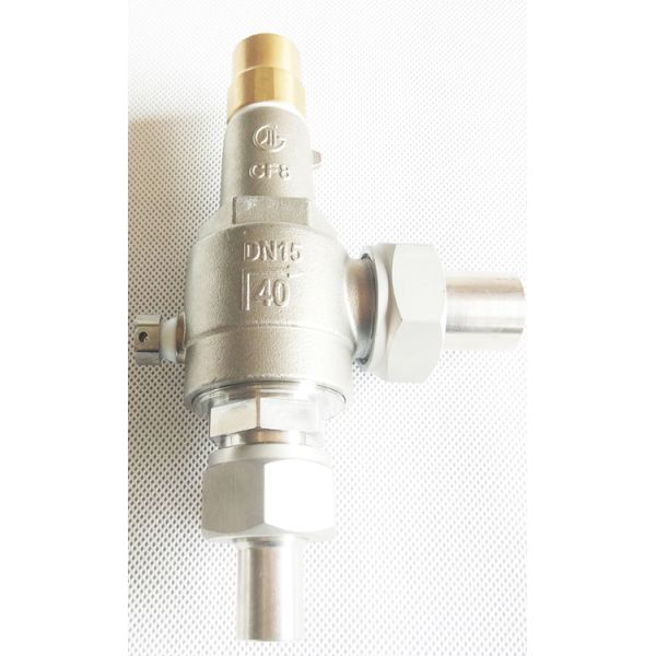 316 304 Stainless Steel Cryogenic Safety Relief Valves For LNG LOX LIN LCO2