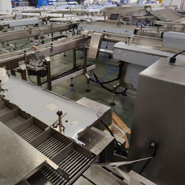 Automatic Frozen Food Pillow Packing Machine Packing Speed ​​1 Minute 150 Bag Stainless Steel 304