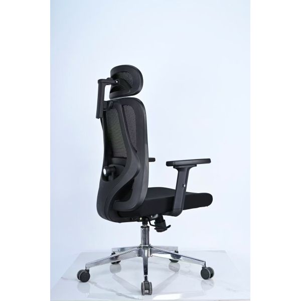 Executive Ergonomic Office Chair with 2D Armrest / 2D Back Lumbar Part