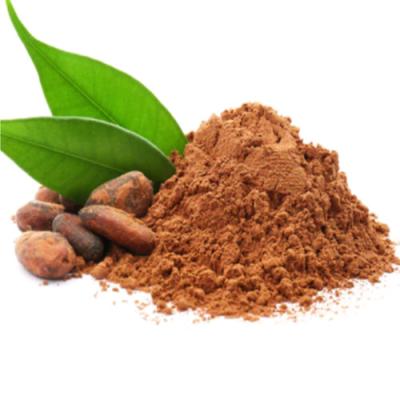 25kg Additive Free Dutch Cocoa Ingredients Powder Alkalized For Baked Cakes Cookie