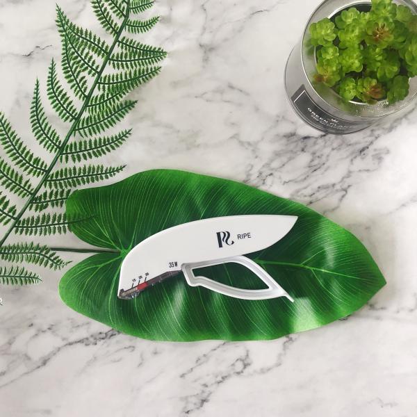 Accurate Disposable Skin Stapler Reducing Epidermal Tissue Injury