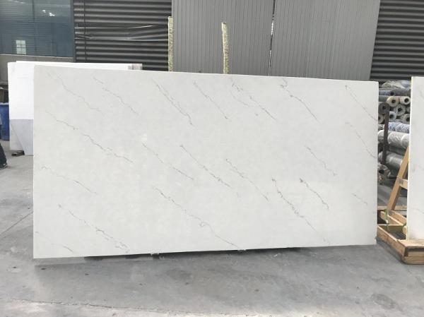 Shock Resistant Calacatta Nuvo Quartz , Caesarstone Calacatta Nuvo Everlasting Sheen
