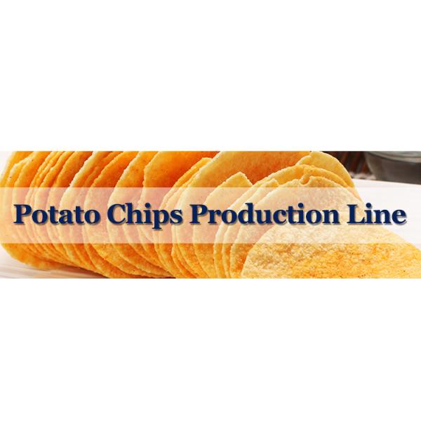 High Productivity Frozen French Fries Production Line for Fully Automatic Processing