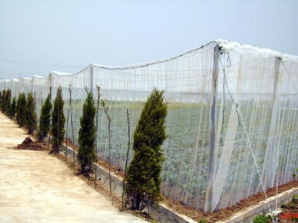 hot sale 70g 16mesh 2.5x30yards Pest Exclusion Greenhouse Plastic Net