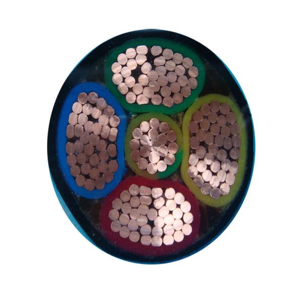 High Temperature Resistant XLPE Insulated Power Cable for Extreme Environments Yjy Yjv Wdz-Yjy Wdz-Yjv 1.1*1.1*0.98m