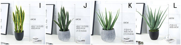 ISO Desert Snake Plant Artificial Bonsai Tree Tiger Piran Aloe Sansevieria Seeds