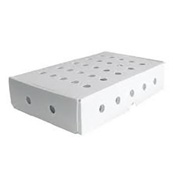 Corruone PP polypropylene 5 KG & 10 KG Custom Waterproof Frozen Meat or Seafood Packaging Boxes Corrugated plastic seafood box